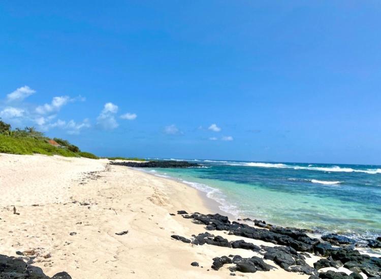 East Coast Beachfront Luxury - Eastern Blue Apartments Poste Lafayette Buitenkant foto